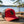 Trucker Hat Dawg Red Gameday