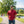Red Field Polo — Yeup Outfitters, view 2