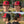 Flat Bill Dawg Red Gameday