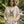 Comfort Sweatshirt Duck