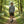 Forest Green Performance Shorts back view — Yeup Outfitters