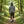 Forest Green Performance Shorts front view — Yeup Outfitters